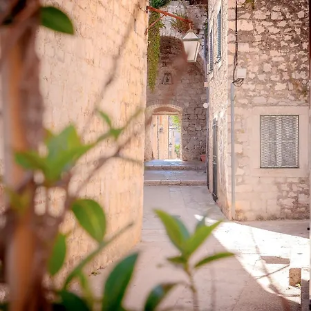 Baby Blue - Zf Hvar *